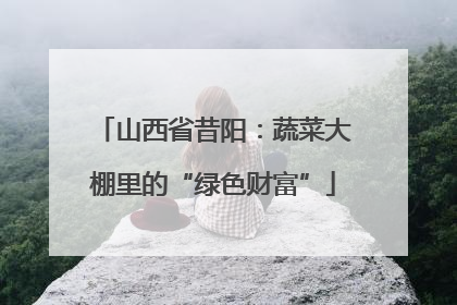 山西省昔阳：蔬菜大棚里的“绿色财富”