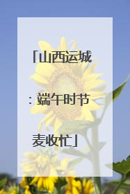 山西运城：端午时节麦收忙