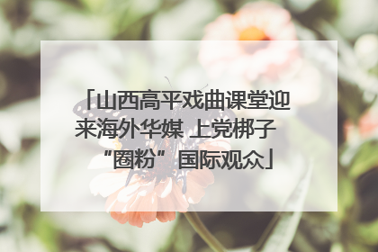 山西高平戏曲课堂迎来海外华媒 上党梆子“圈粉”国际观众