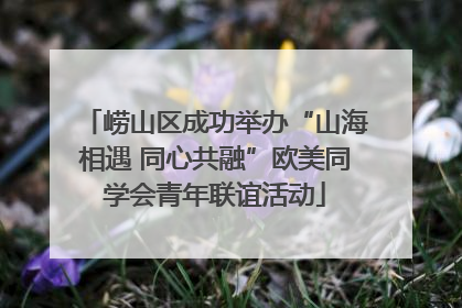 崂山区成功举办“山海相遇 同心共融”欧美同学会青年联谊活动