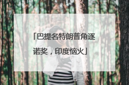 巴提名特朗普角逐诺奖，印度恼火