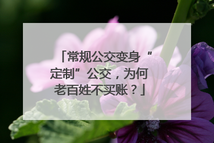 常规公交变身“定制”公交，为何老百姓不买账？