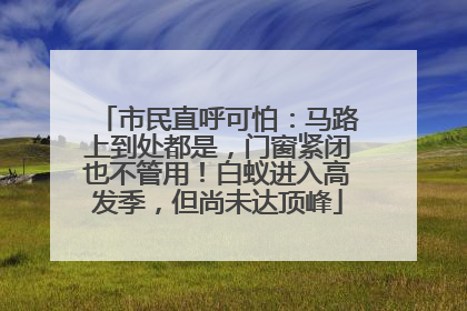 市民直呼可怕：马路上到处都是，门窗紧闭也不管用！白蚁进入高发季，但尚未达顶峰
