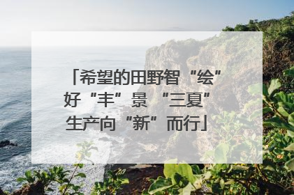 希望的田野智“绘”好“丰”景 “三夏”生产向“新”而行