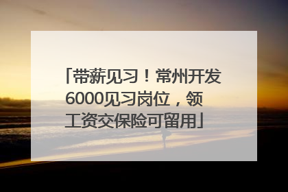 带薪见习！常州开发6000见习岗位，领工资交保险可留用