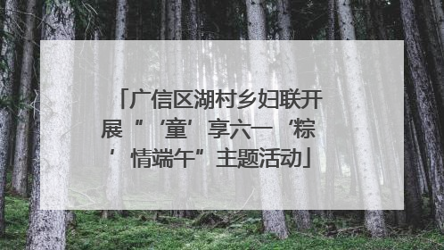广信区湖村乡妇联开展“‘童’享六一‘粽’情端午”主题活动