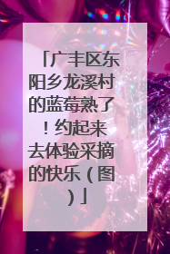 广丰区东阳乡龙溪村的蓝莓熟了！约起来 去体验采摘的快乐（图）