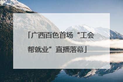 广西百色首场“工会帮就业”直播落幕