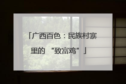 广西百色：民族村寨里的 “致富鸡”