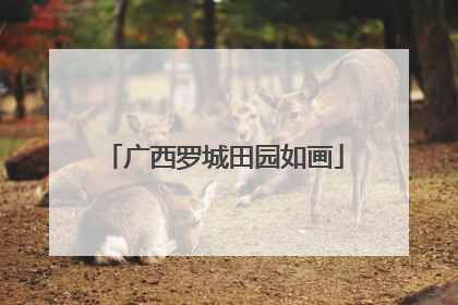 广西罗城田园如画
