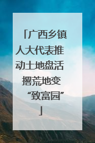 广西乡镇人大代表推动土地盘活 撂荒地变“致富园”