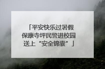 平安快乐过暑假 保康寺坪民警进校园送上“安全锦囊”