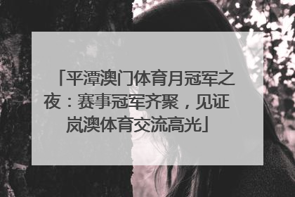 平潭澳门体育月冠军之夜：赛事冠军齐聚，见证岚澳体育交流高光