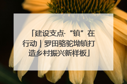建设支点·“镇”在行动｜罗田骆驼坳镇打造乡村振兴新样板