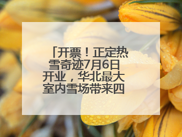 开票！正定热雪奇迹7月6日开业，华北最大室内雪场带来四季滑雪新体验