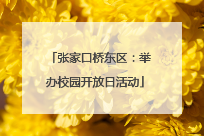 张家口桥东区：举办校园开放日活动