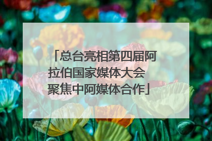 总台亮相第四届阿拉伯国家媒体大会 聚焦中阿媒体合作