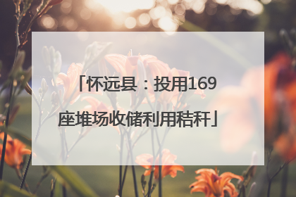 怀远县：投用169座堆场收储利用秸秆