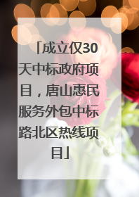 成立仅30天中标政府项目，唐山惠民服务外包中标路北区热线项目