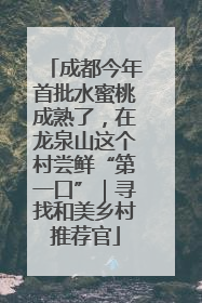成都今年首批水蜜桃成熟了，在龙泉山这个村尝鲜“第一口”｜寻找和美乡村推荐官