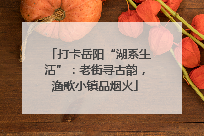 打卡岳阳“湖系生活”：老街寻古韵，渔歌小镇品烟火
