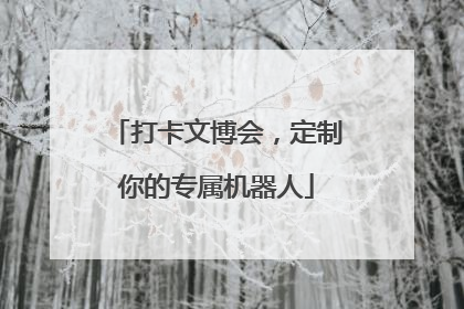 打卡文博会，定制你的专属机器人