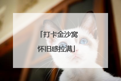 打卡金沙窝 怀旧感拉满