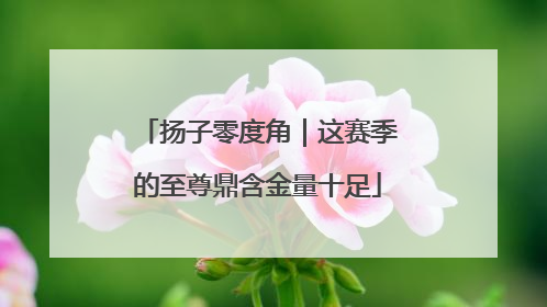 扬子零度角｜这赛季的至尊鼎含金量十足