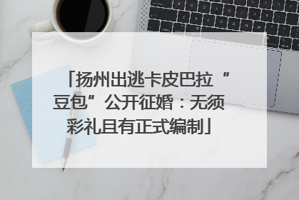 扬州出逃卡皮巴拉“豆包”公开征婚：无须彩礼且有正式编制
