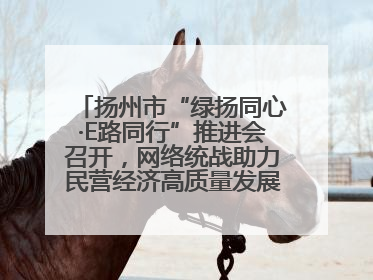 扬州市“绿扬同心·E路同行”推进会召开，网络统战助力民营经济高质量发展行动启动