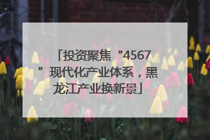投资聚焦“4567”现代化产业体系，黑龙江产业换新景