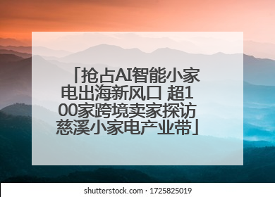 抢占AI智能小家电出海新风口 超100家跨境卖家探访慈溪小家电产业带