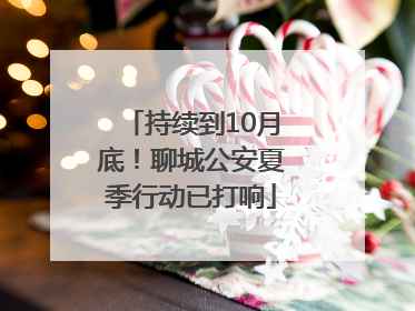 持续到10月底！聊城公安夏季行动已打响