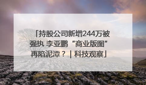持股公司新增244万被强执 李亚鹏“商业版图”再陷泥潭？｜科技观察