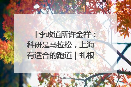李政道所许金祥：科研是马拉松，上海有适合的跑道｜扎根上海，从0到1
