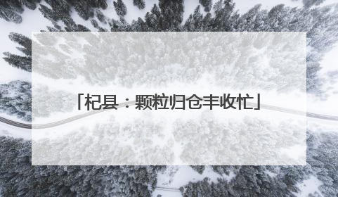 杞县：颗粒归仓丰收忙