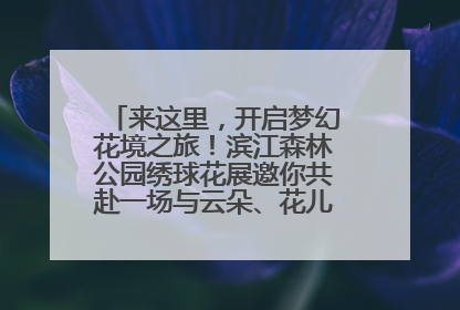 来这里，开启梦幻花境之旅！滨江森林公园绣球花展邀你共赴一场与云朵、花儿的浪漫之约