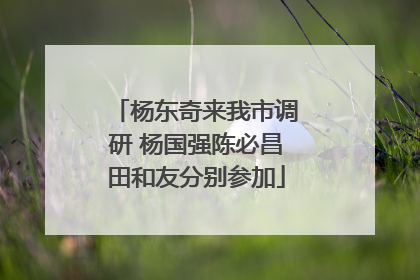 杨东奇来我市调研 杨国强陈必昌田和友分别参加