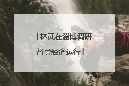 林武在淄博调研督导经济运行