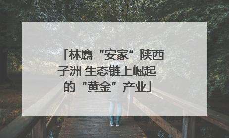 林麝“安家”陕西子洲 生态链上崛起的“黄金”产业