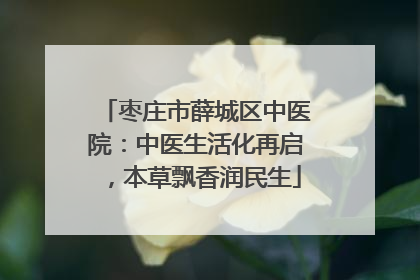 枣庄市薛城区中医院：中医生活化再启，本草飘香润民生
