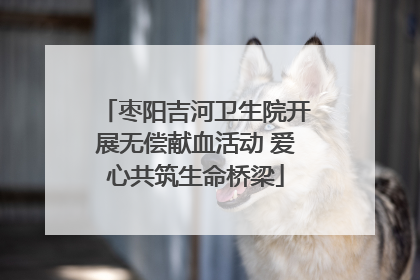 枣阳吉河卫生院开展无偿献血活动 爱心共筑生命桥梁