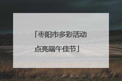 枣阳市多彩活动点亮端午佳节