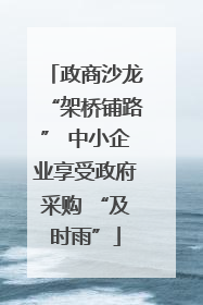 政商沙龙“架桥铺路” 中小企业享受政府采购 “及时雨”