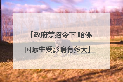 政府禁招令下 哈佛国际生受影响有多大