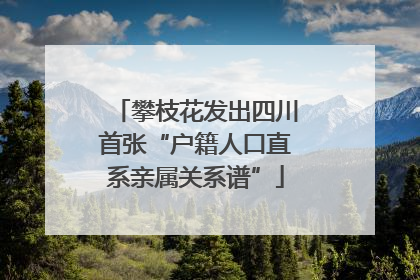 攀枝花发出四川首张“户籍人口直系亲属关系谱”
