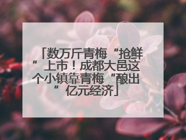 数万斤青梅“抢鲜”上市！成都大邑这个小镇靠青梅“酿出”亿元经济