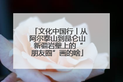 文化中国行丨从阿尔泰山到昆仑山 新疆岩壁上的“朋友圈”画的啥