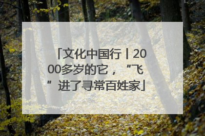 文化中国行丨2000多岁的它，“飞”进了寻常百姓家