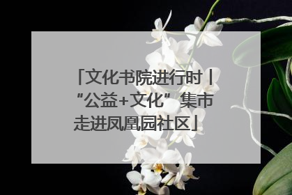 文化书院进行时丨“公益+文化”集市走进凤凰园社区